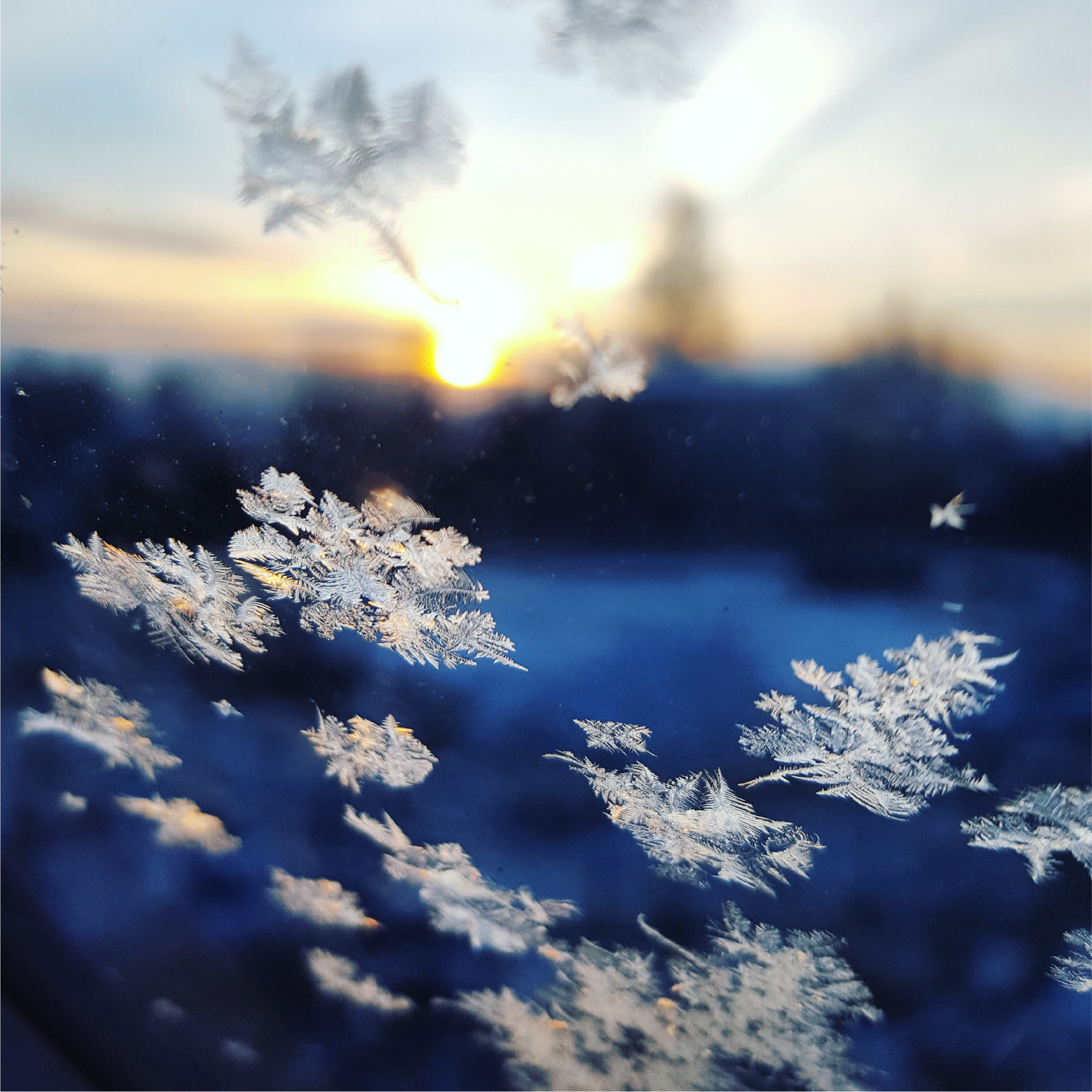 Closeup on snowflakes falling at sunrise